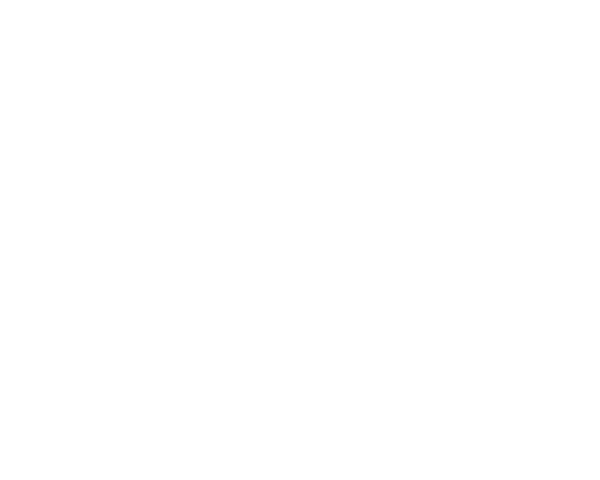 adidas — industry reference, not a partner